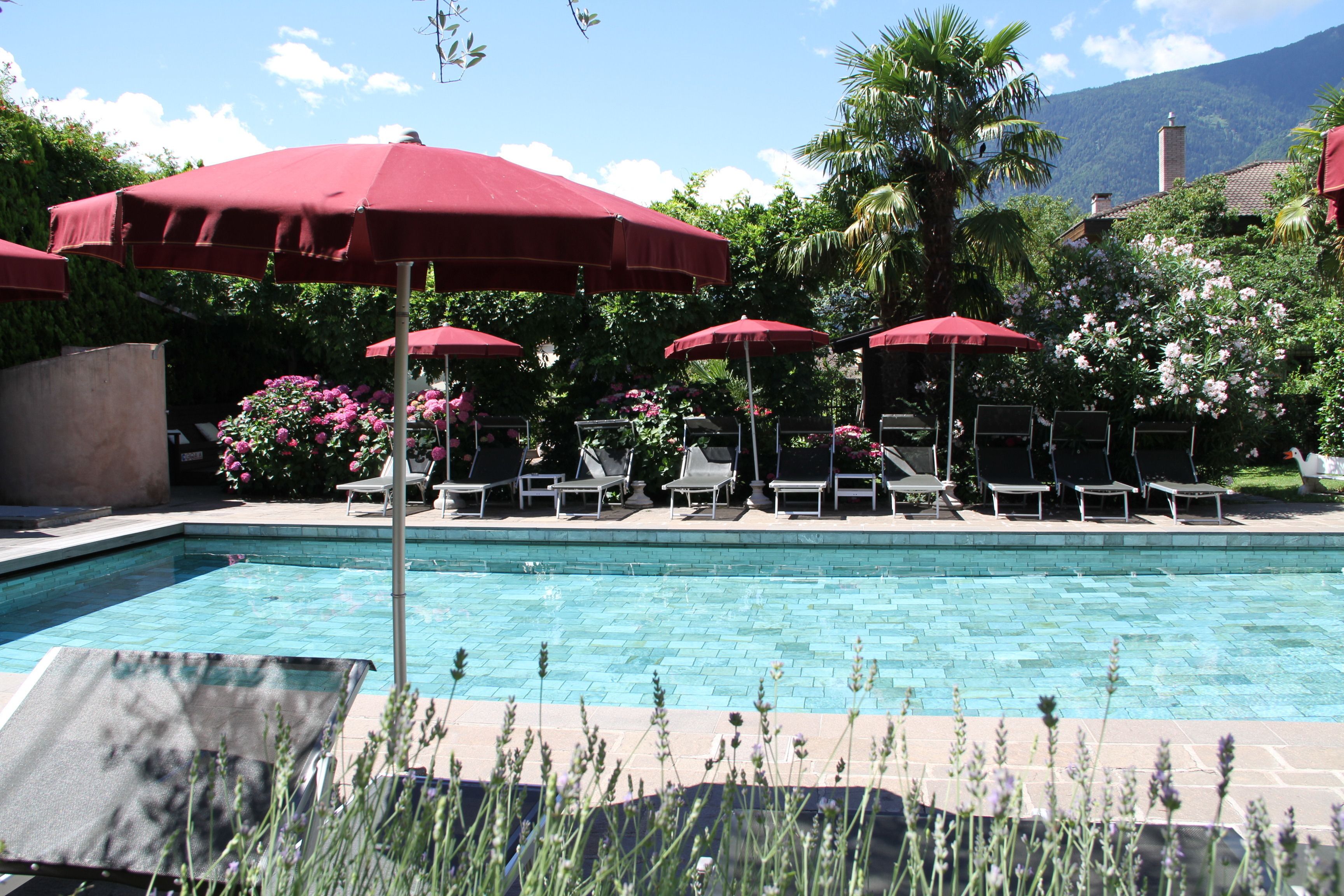 Una piscina al aire libre de temporada, sombrillas, tumbonas