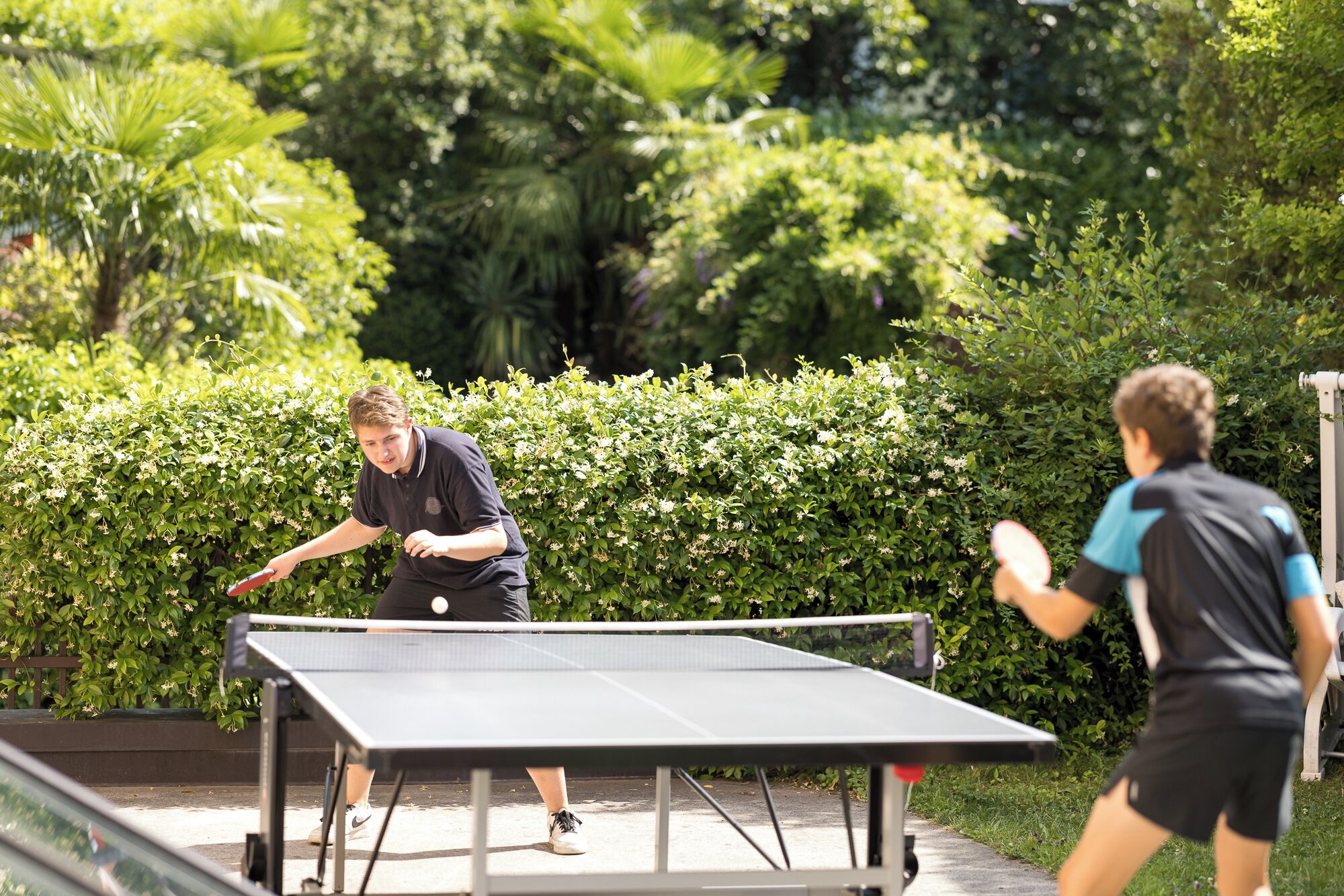 Deux personnes jouent au ping-pong à l’extérieur, avec une haie verte en arrière-plan.