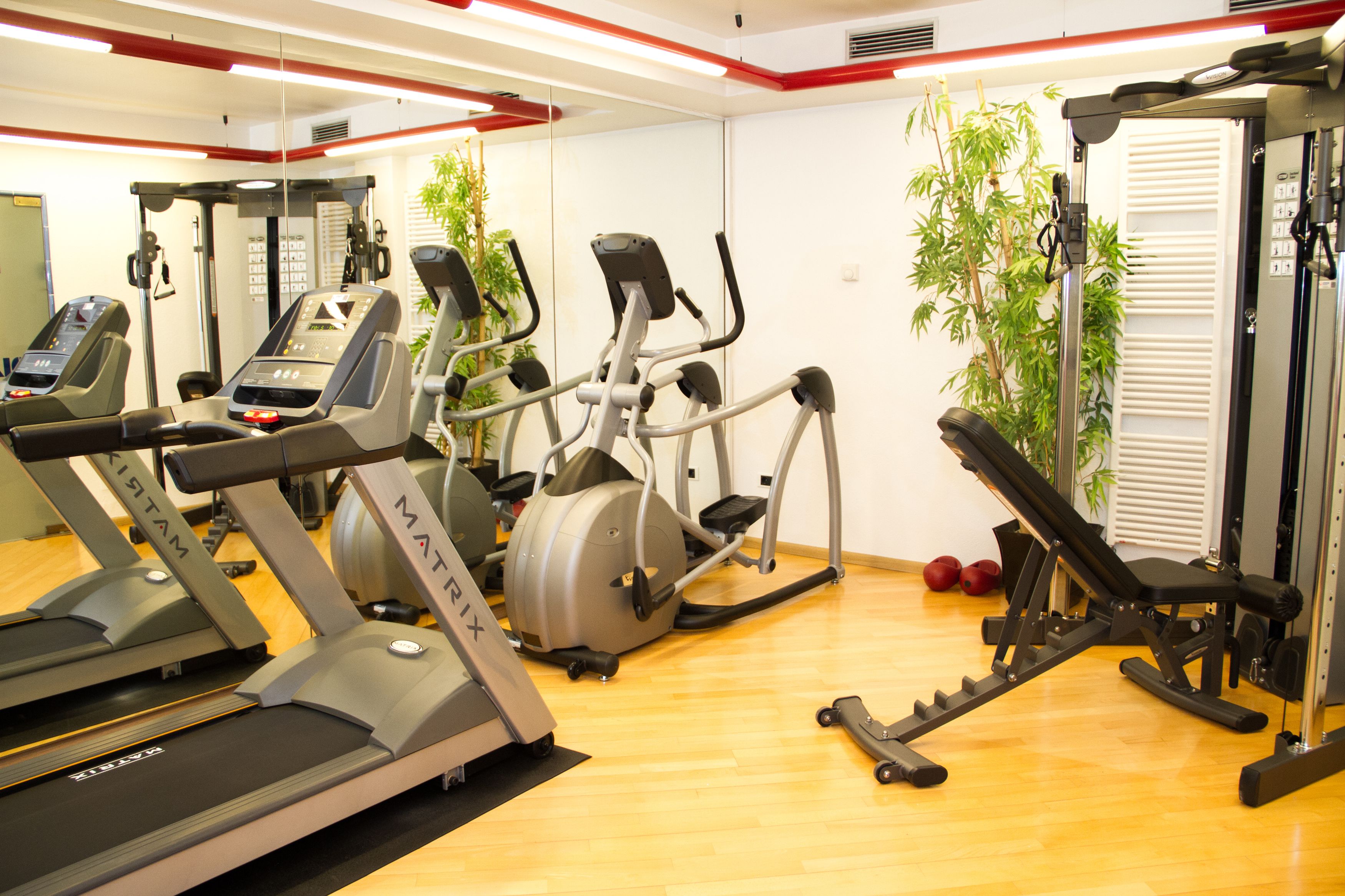 Ett gym med löpband, crosstrainers och styrketräningsutrustning.