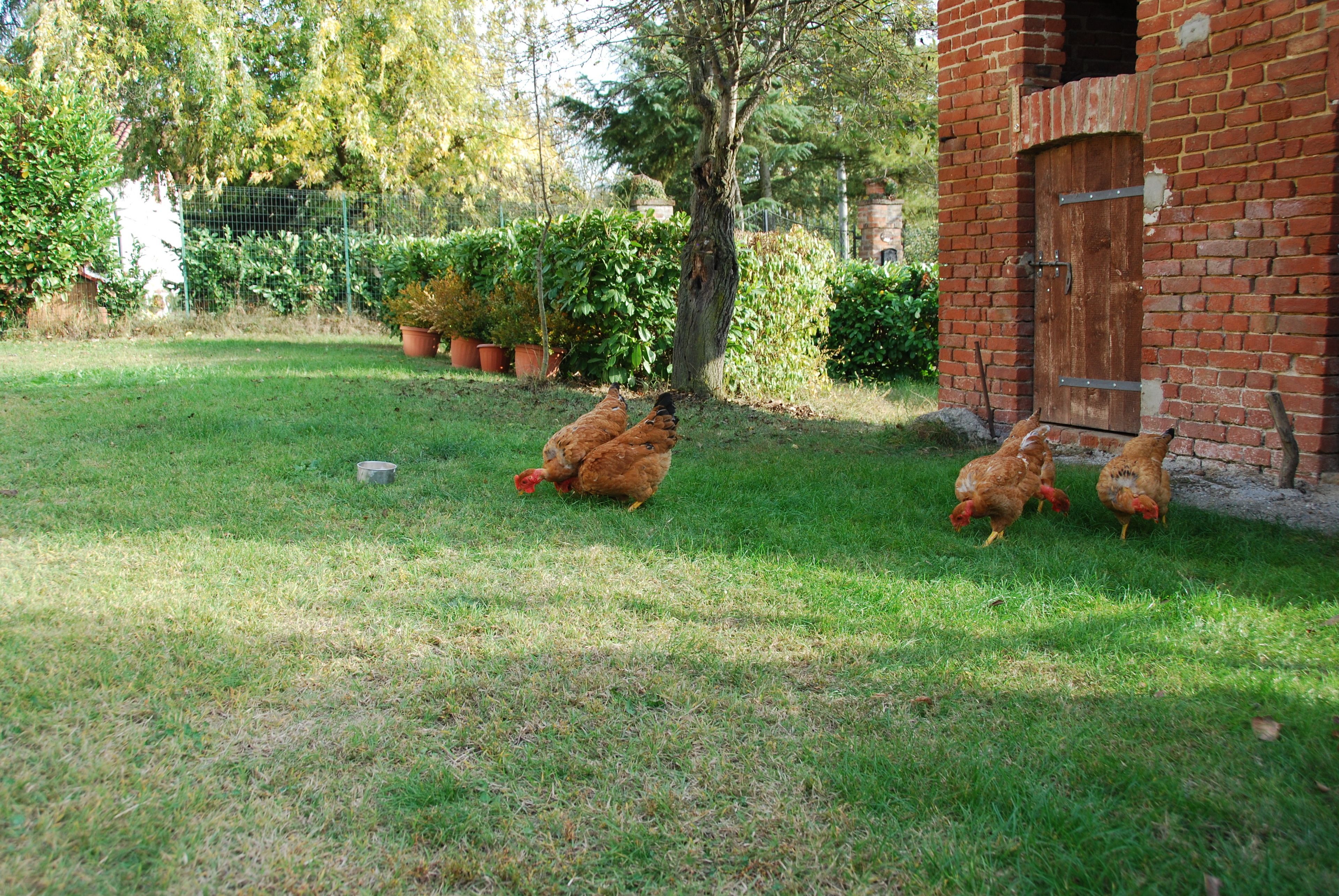 Foto - B&B Cascina Bricchetto