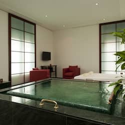 Salas de tratamiento para parejas, un sauna, una bañera de hidromasaje