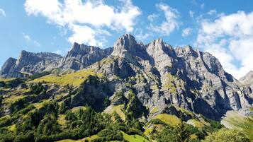 Un paisaje montañoso con picos rocosos y vegetación verde.