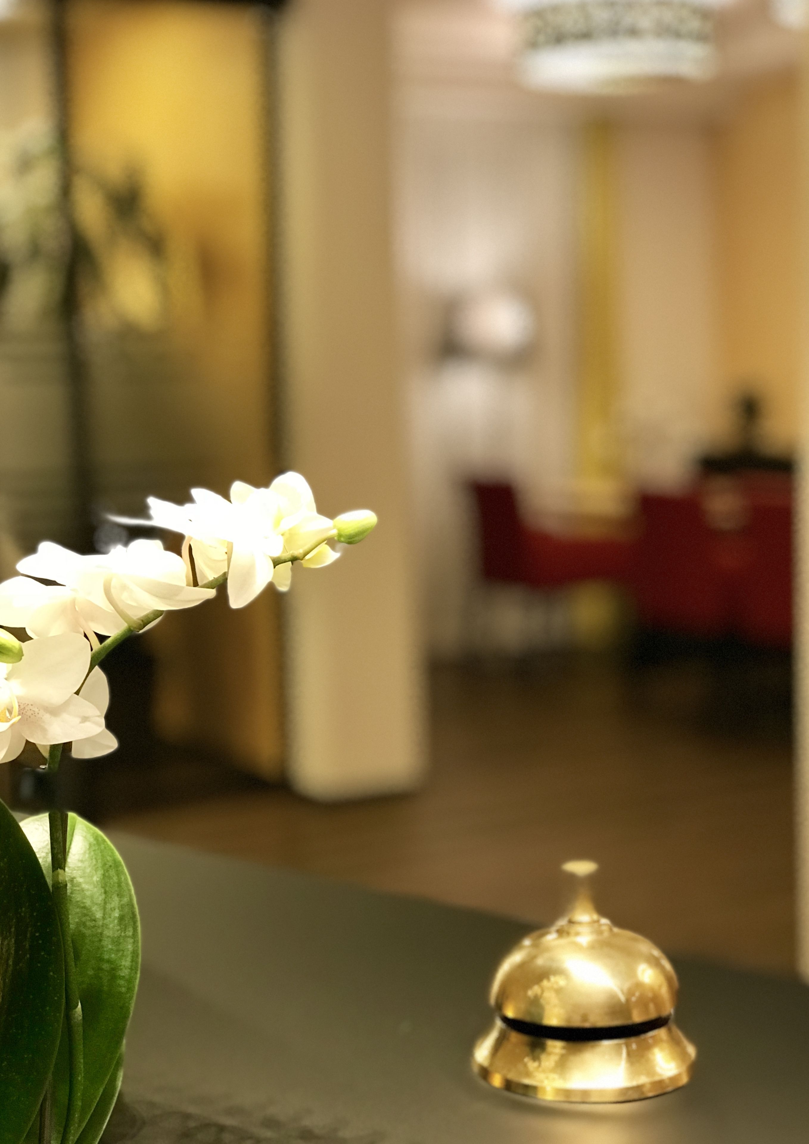 Foto - Hotel Jardin Bern