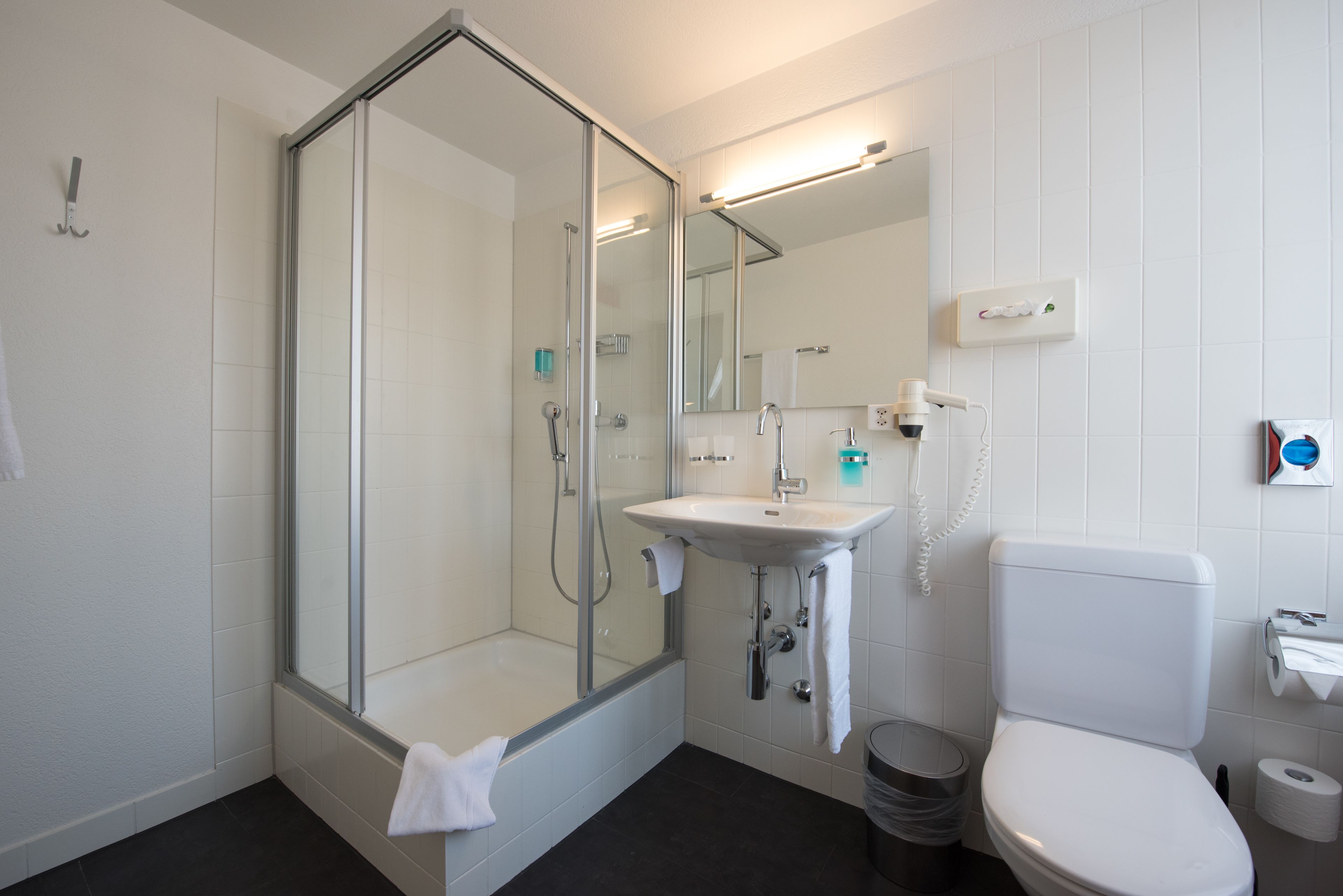 economy room (queen-size bed) | bathroom | shower, hair dryer, towels, soap