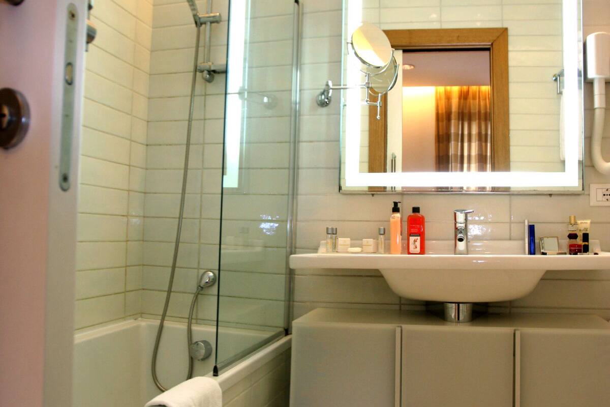combined shower/bathtub, free toiletries, hair dryer, bidet