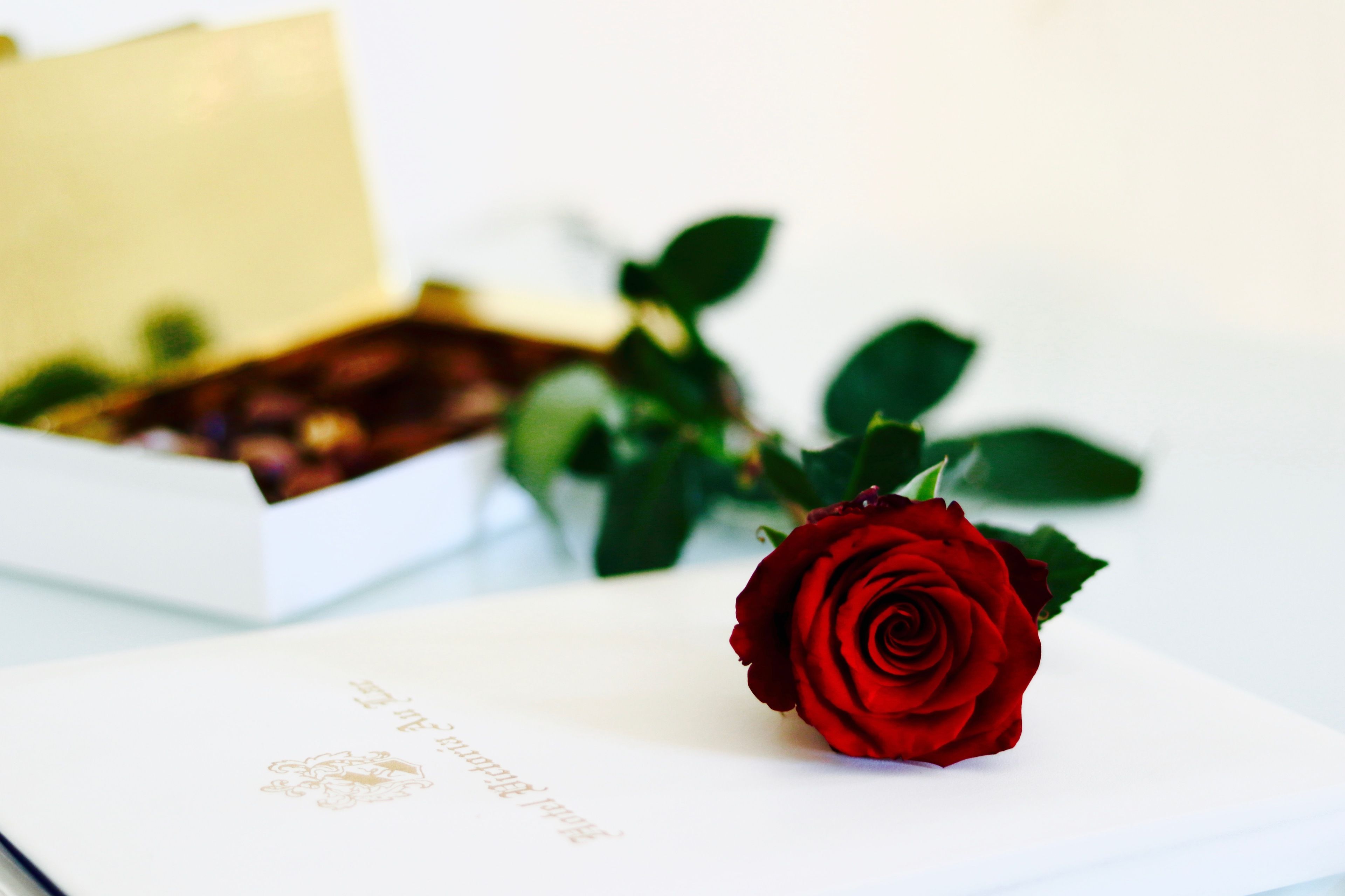 Photo - Hotel Victoria