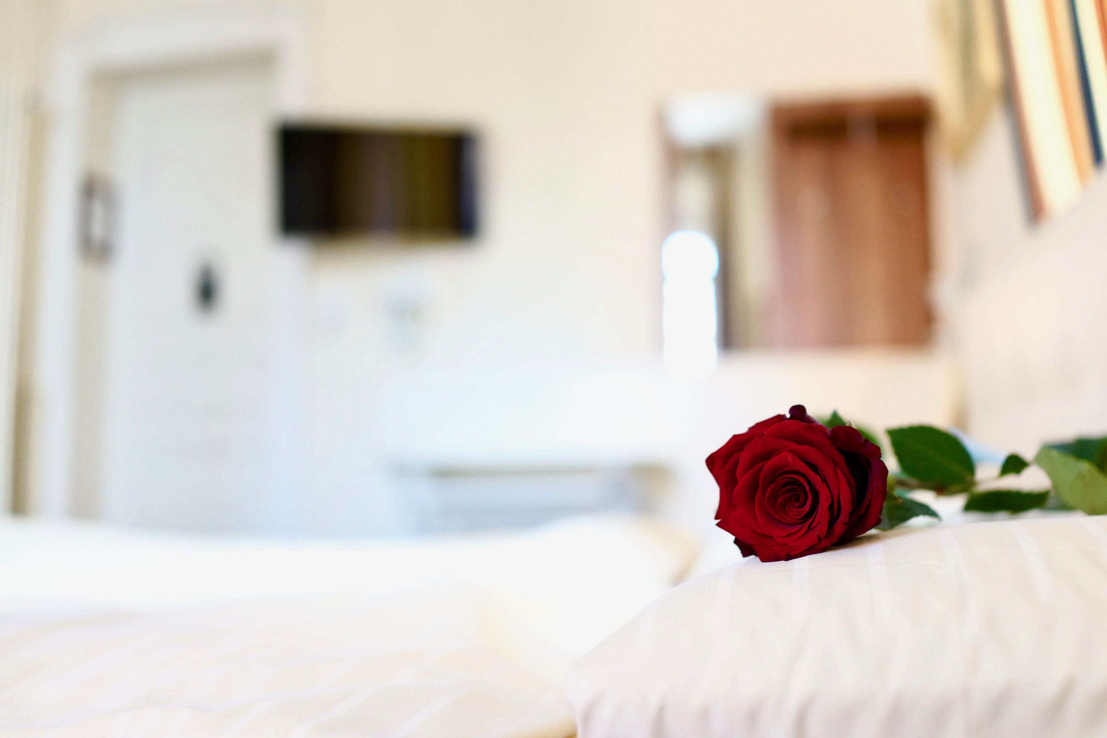 Photo - Hotel Victoria