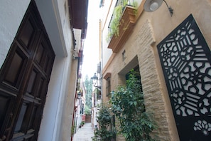 A narrow alleyway with buildings on either side, featuring wooden shutters, stone walls, and a decorative metal gate. - Apartamentos Suites Santa Cruz (Seville)