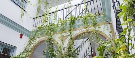 Un patio con plantas colgantes, una escalera y un letrero que dice 'Santa Cruz'.
