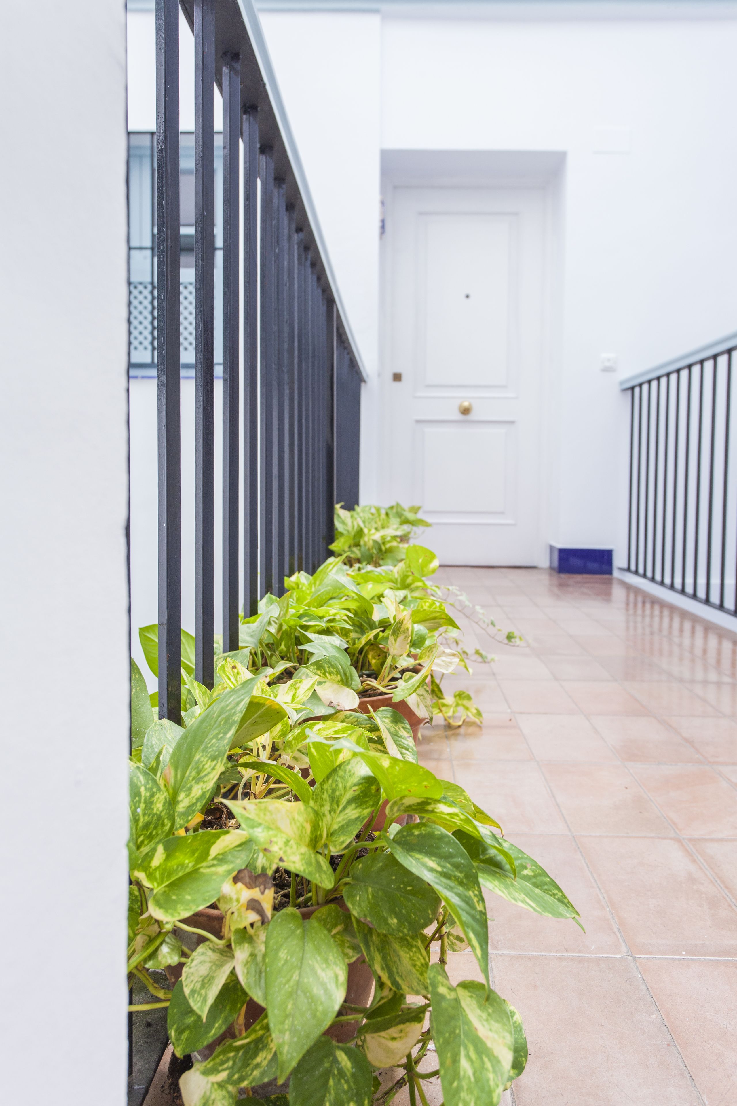 A hallway with a row of potted plants along the left wall, a white door at the end, and a black railing on the right.