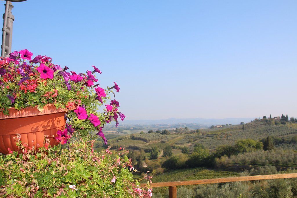 Una maceta de terracota llena de flores rosadas vibrantes en un balcón con vistas a un paisaje montañoso.