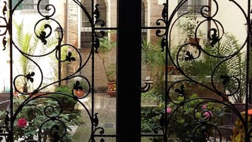 Vista desde la propiedad
