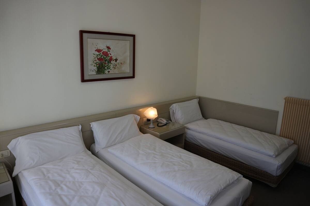 A hotel room with two single beds, a bedside table with a lamp, a telephone, and a framed floral artwork on the wall.