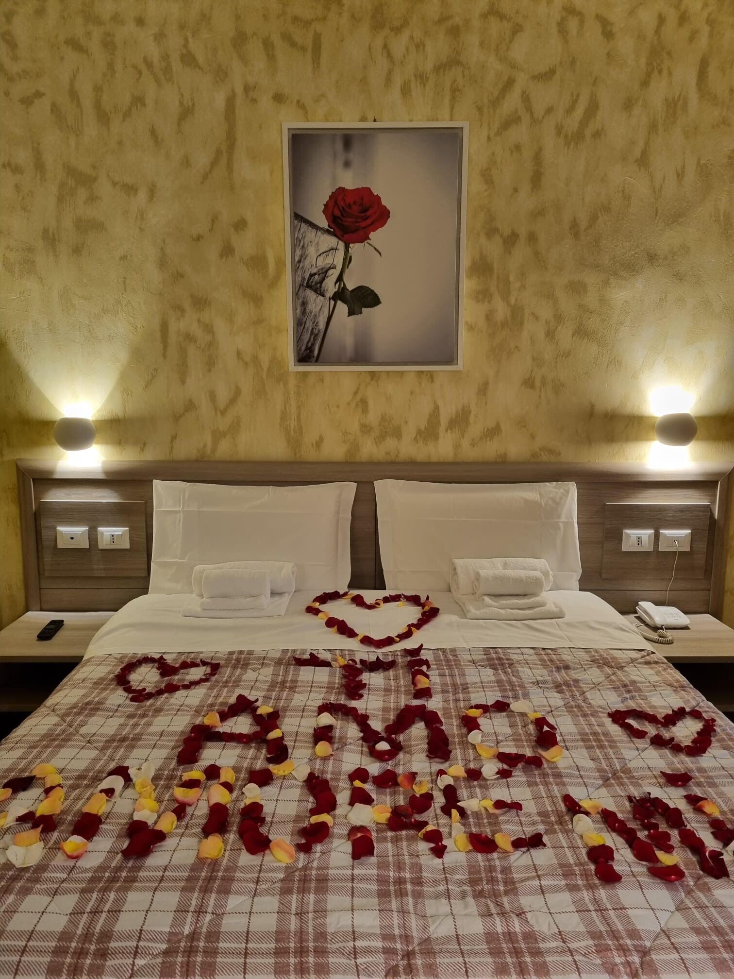 Photo - Hotel Orchidea