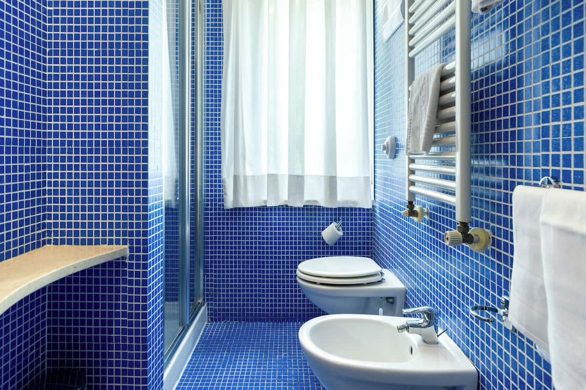 free toiletries, hair dryer, bidet, towels