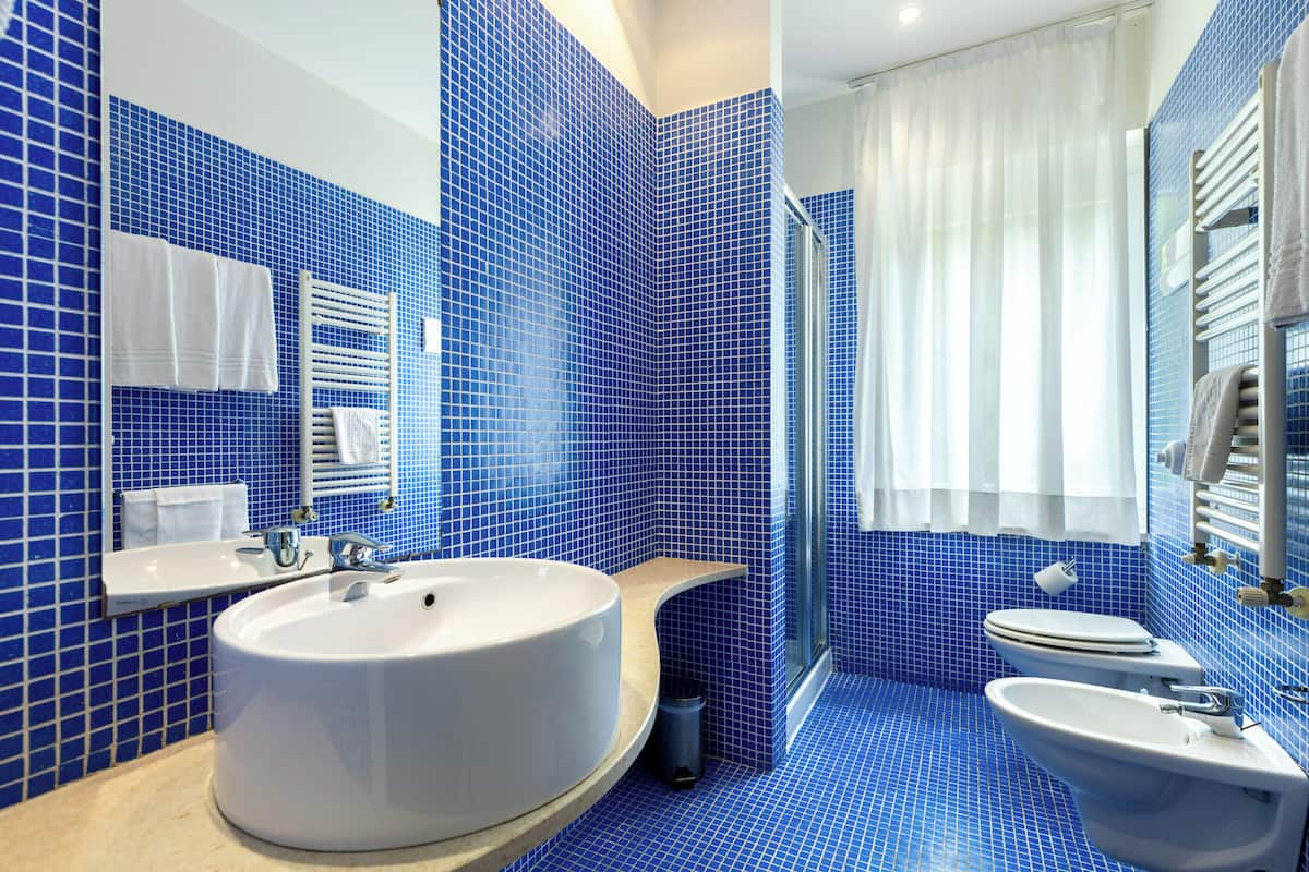 free toiletries, hair dryer, bidet, towels