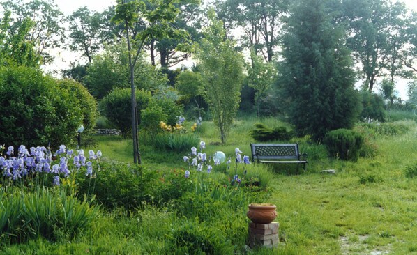 Trädgård