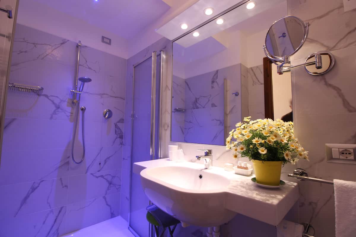 standard single room | bathroom shower