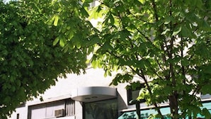Ein Hotel mit moderner Fassade, einem gut sichtbaren Eingang und einem Baum im Vordergrund.