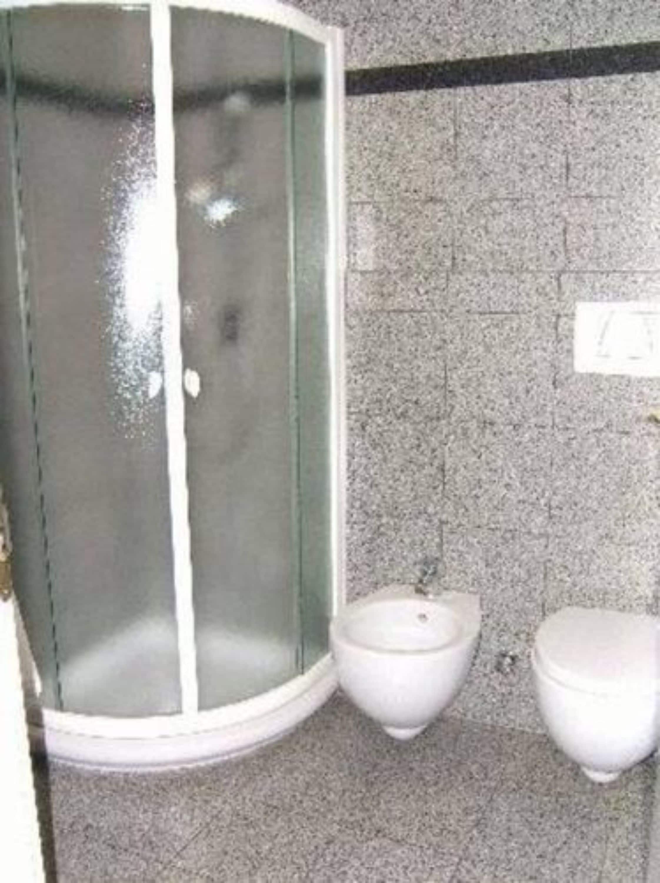 combined shower/bathtub, free toiletries, hair dryer, bidet