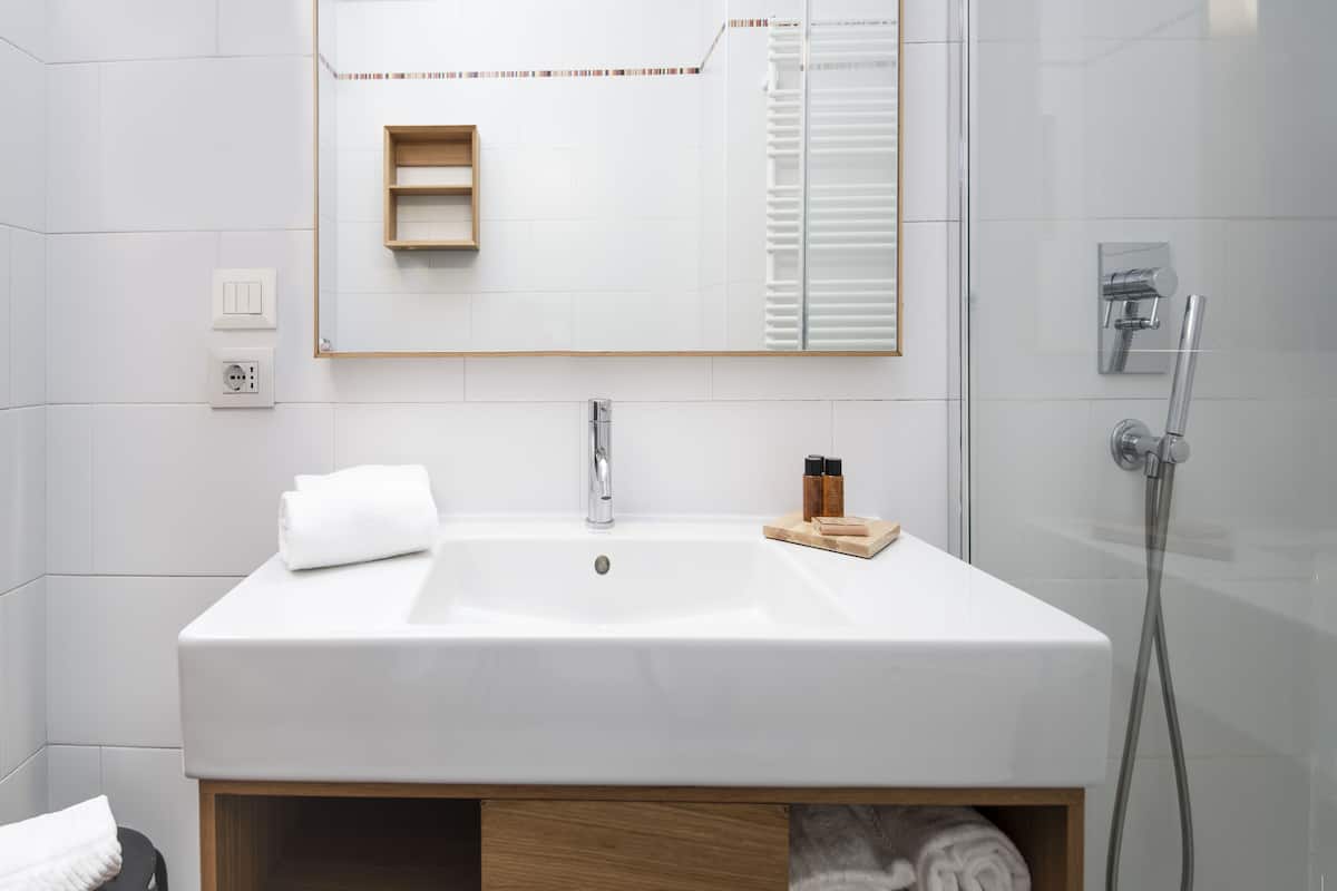 shower, free toiletries, hair dryer, bidet