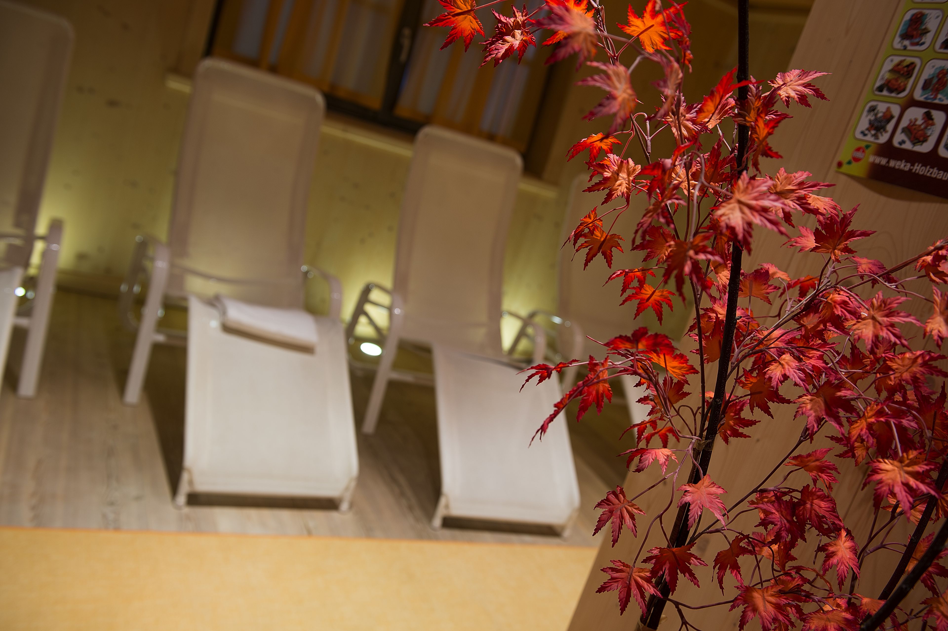 Photo - Hotel Marzia