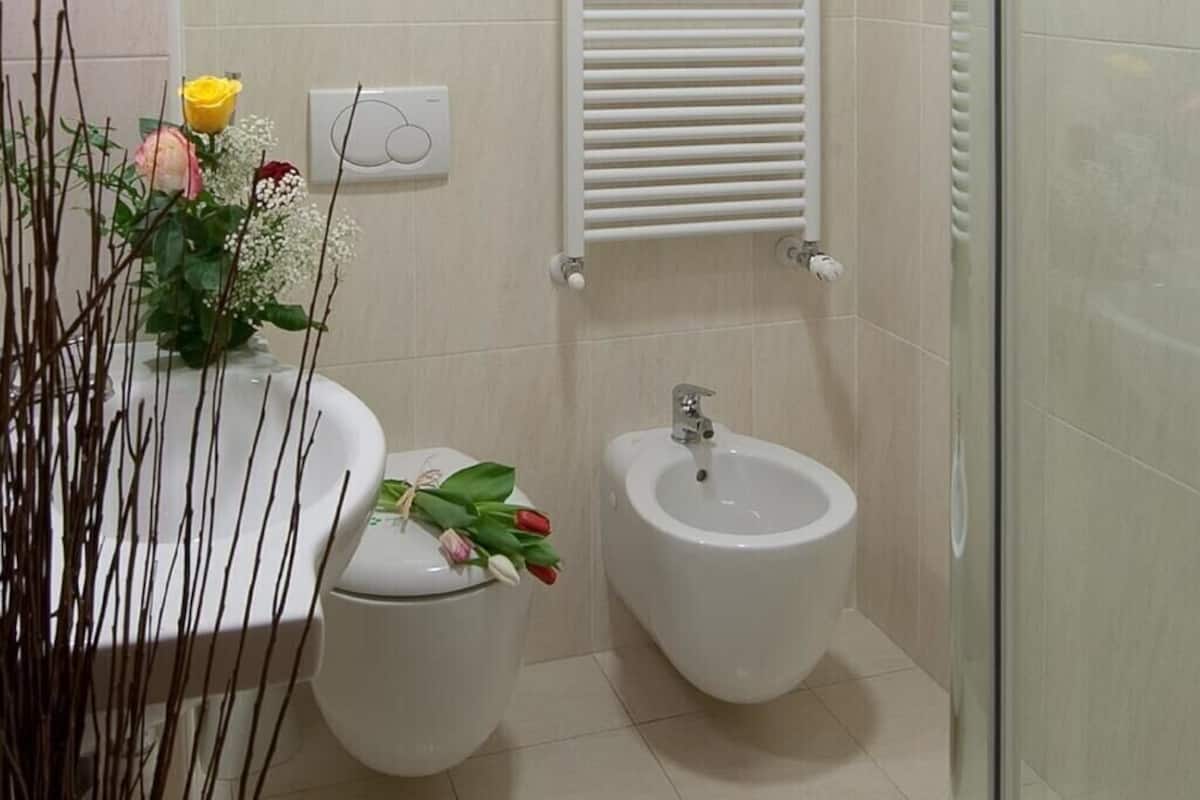 shower, hair dryer, bidet, towels