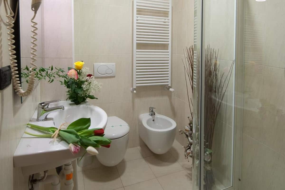 shower, hair dryer, bidet, towels