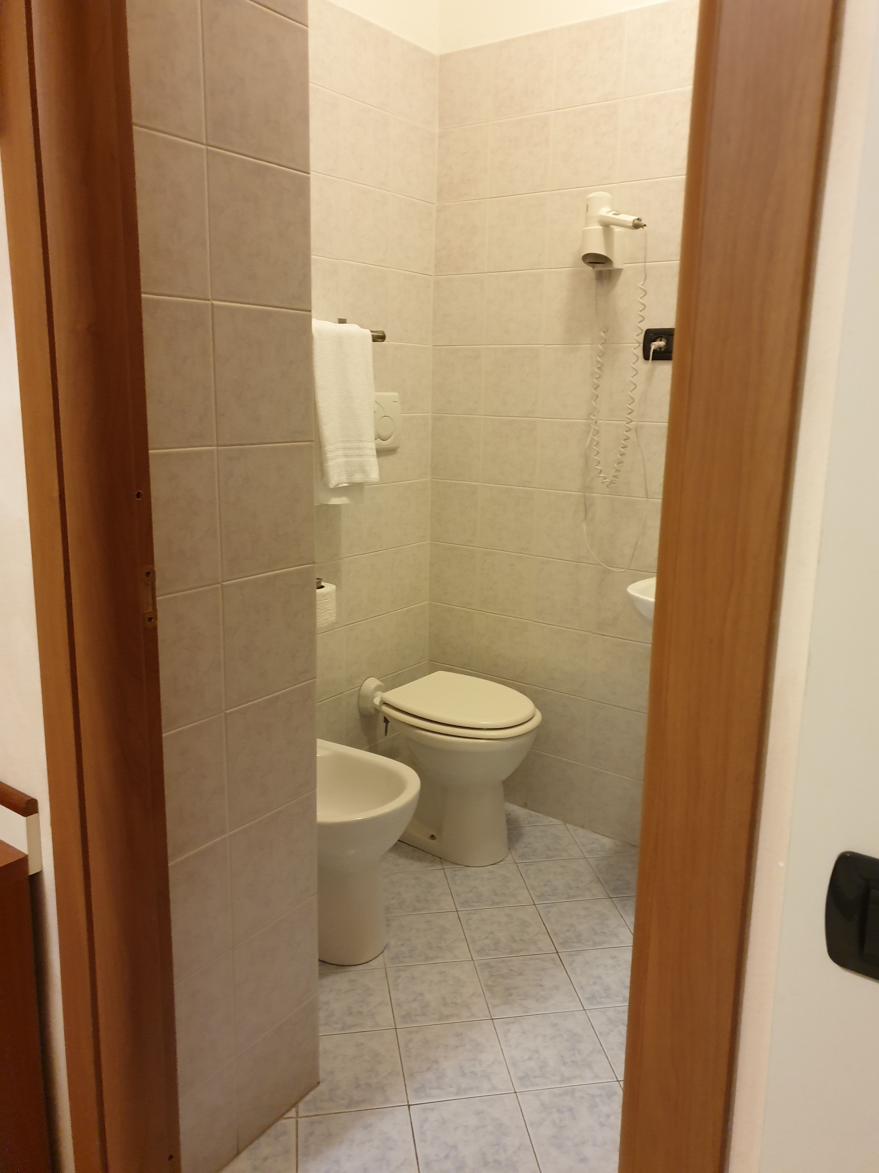 double or twin room | bathroom | shower, free toiletries, hair dryer, bidet