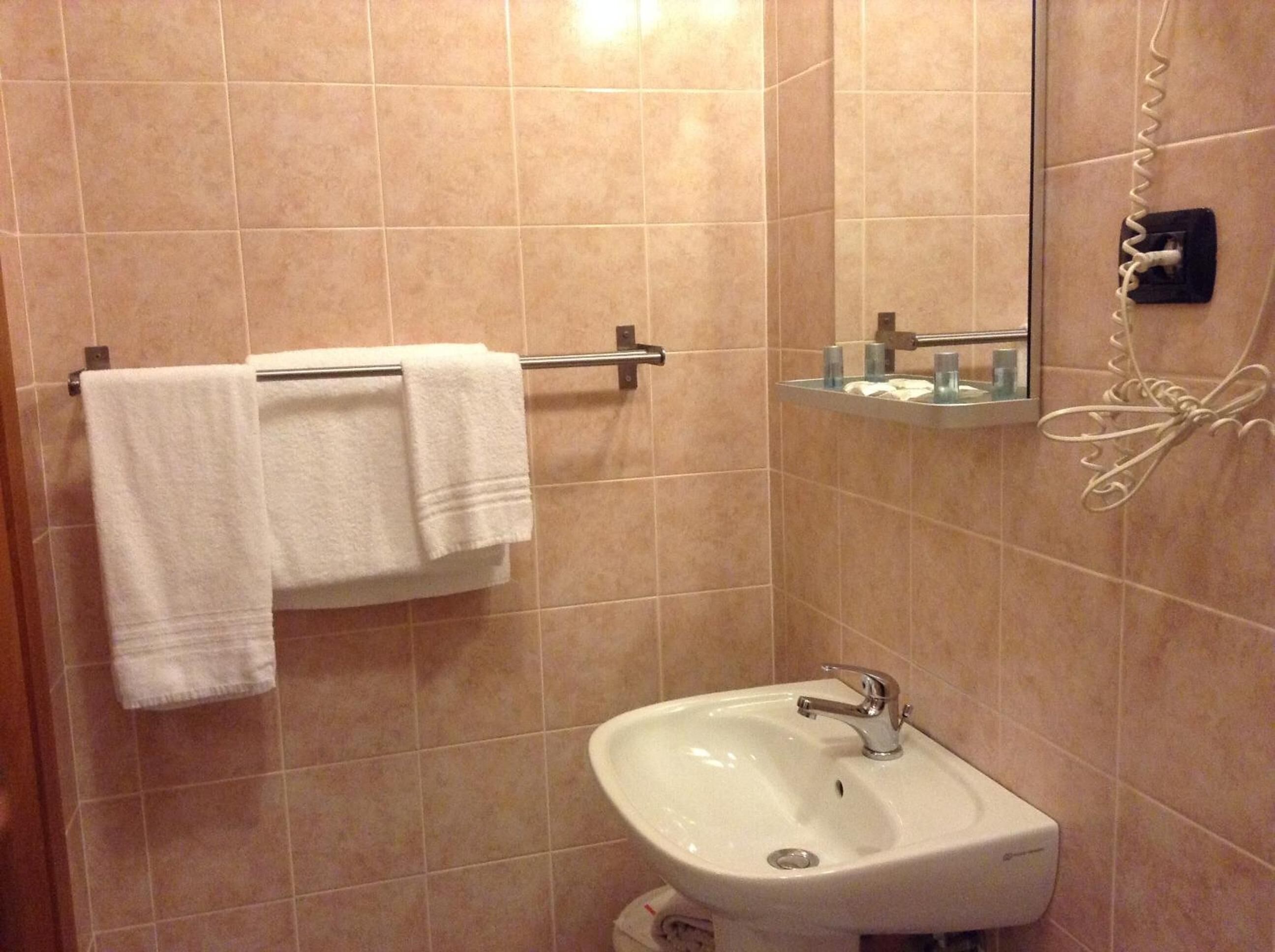 shower, free toiletries, hair dryer, bidet