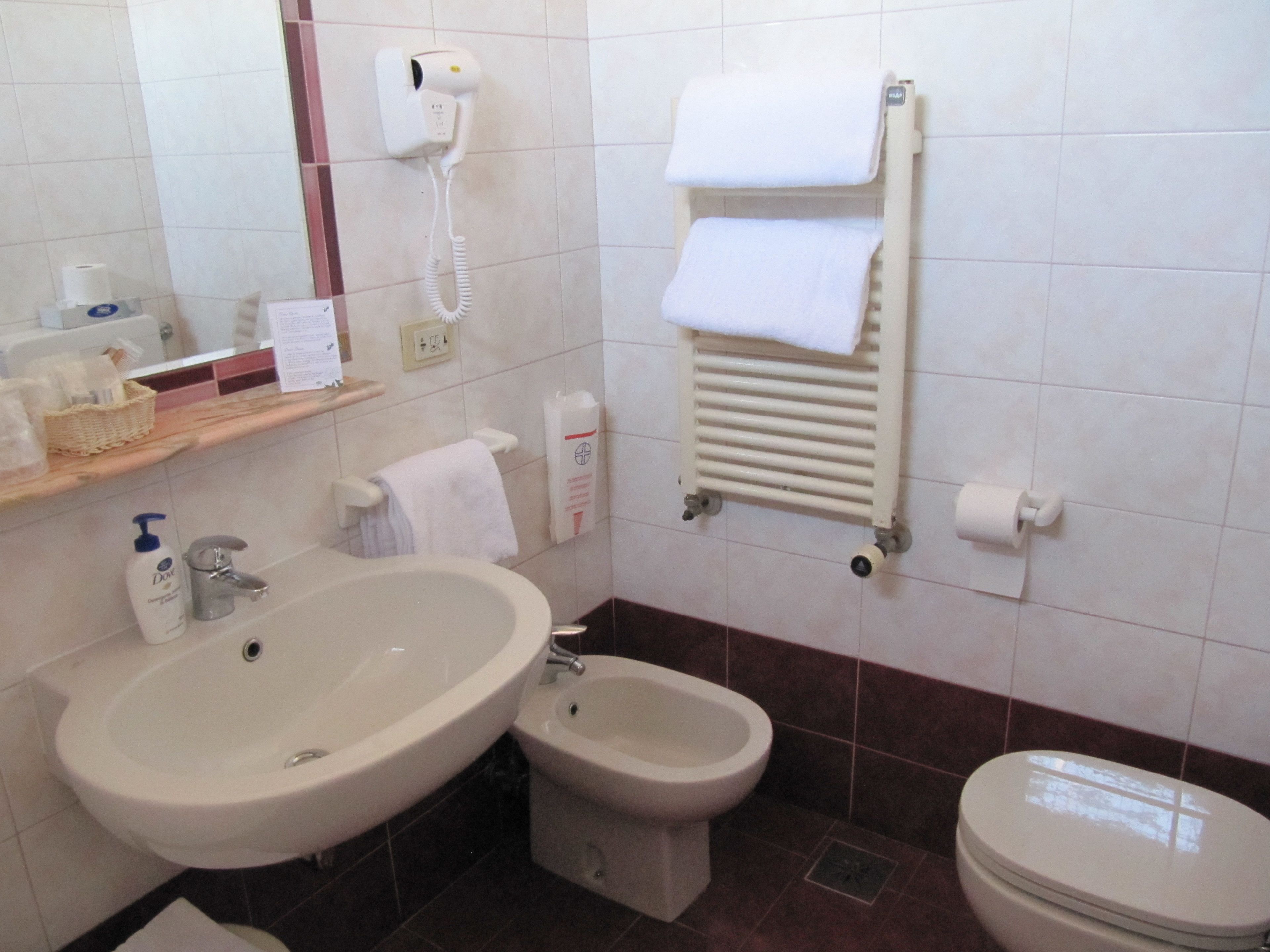 shower, free toiletries, hair dryer, bidet