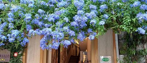 Entrée de l’hébergement