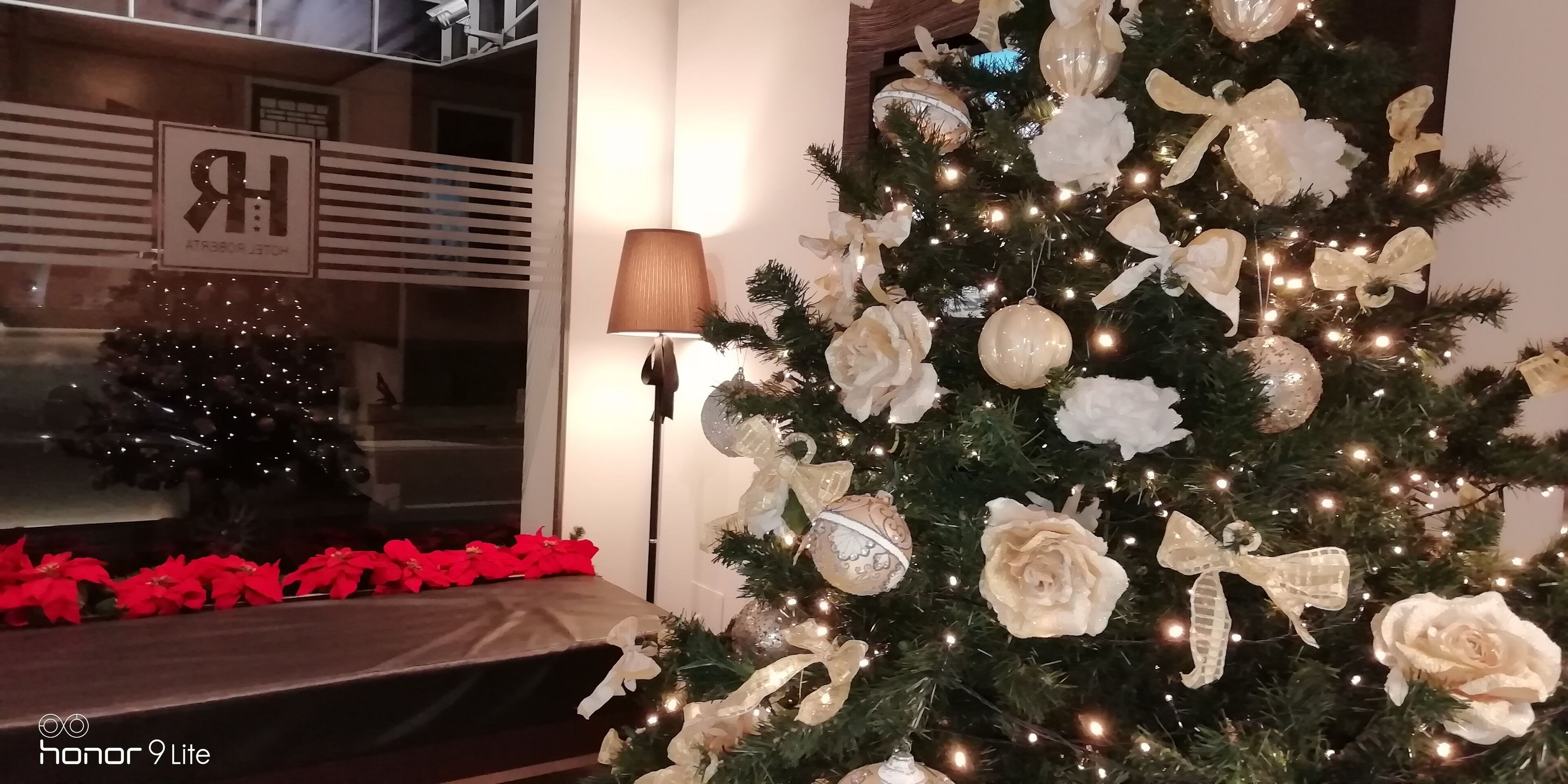 Foto - Hotel Roberta