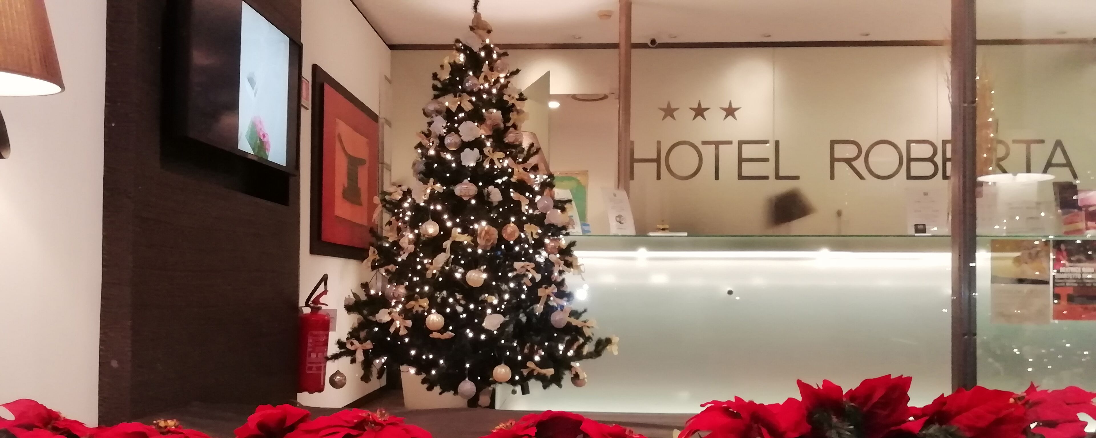 Foto - Hotel Roberta