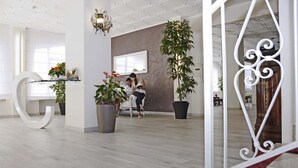 Ein geräumiges Zimmer mit modernem Design, mit einer großen weißen Skulptur im Buchstaben 'C', mehreren topfgebundenen Pflanzen und einem großen Fenster, das natürliches Licht hereinlässt.