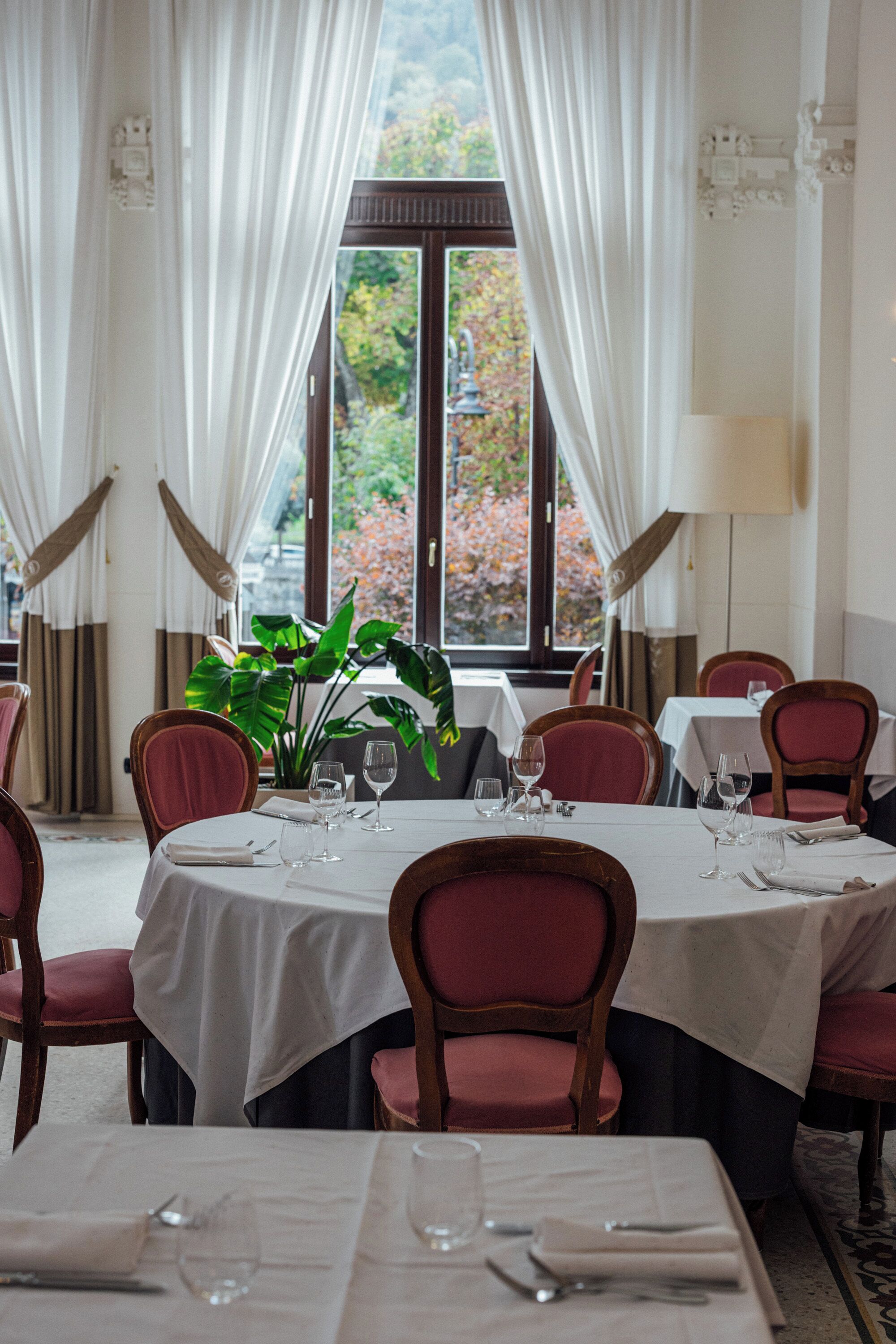 A dining area with tables set for four, chairs, a potted plant, and a view through a window.
