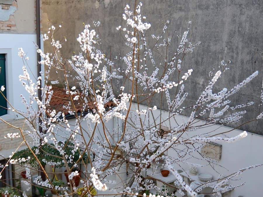 Blick von der Unterkunft