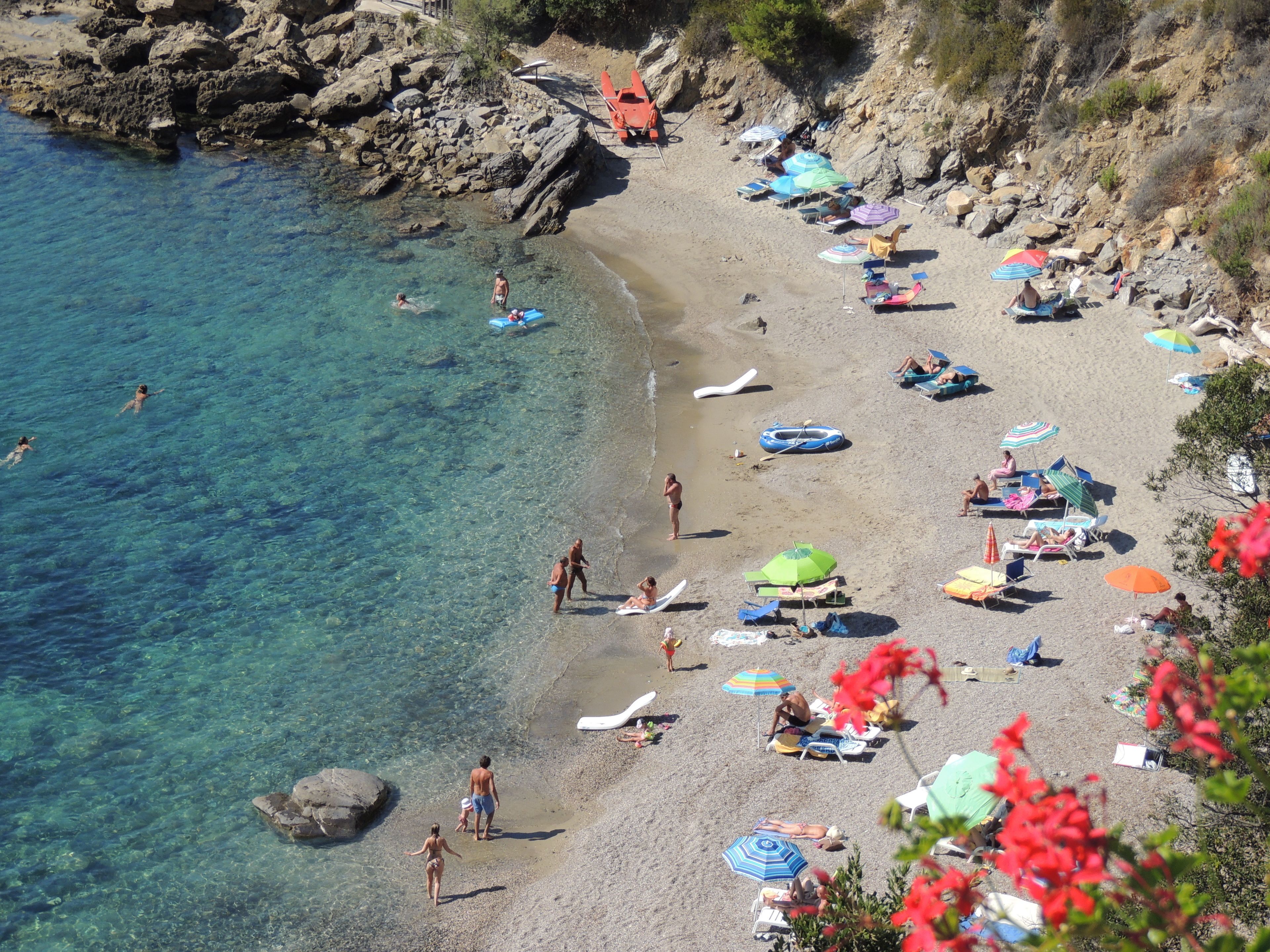 Foto - Viticcio
