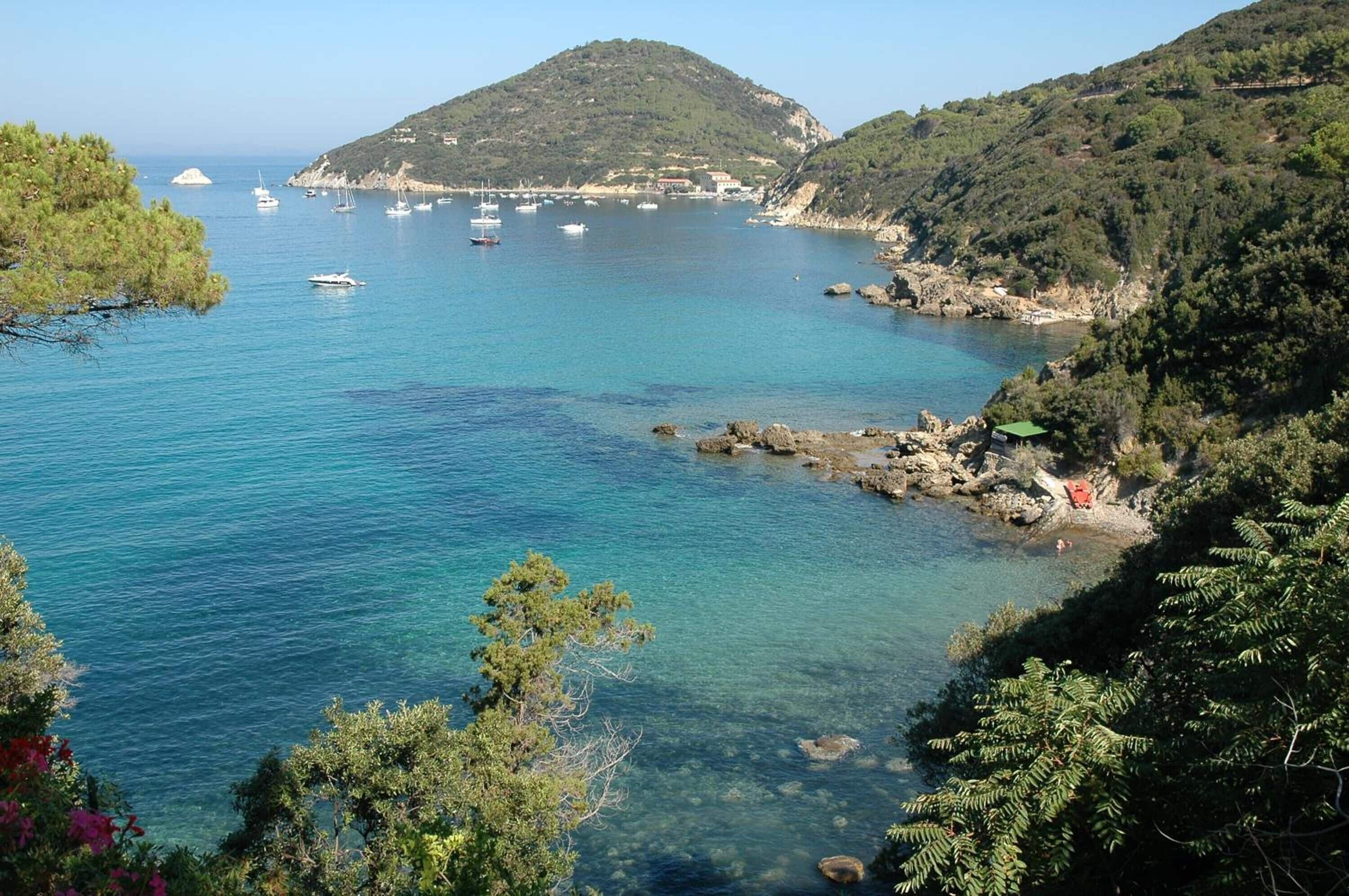 Foto - Viticcio