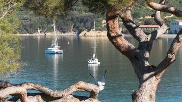 Una rama en primer plano, con un lago tranquilo y barcos al fondo.