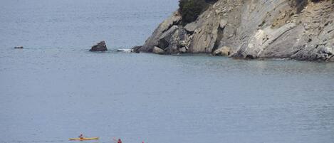 A group of kayakers on a calm body of water near a rocky coastline.