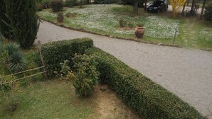 Ein Gartenweg mit Kiesbefestigung, gesäumt von ordentlich geschnittenen Hecken und verschiedenen Pflanzen.