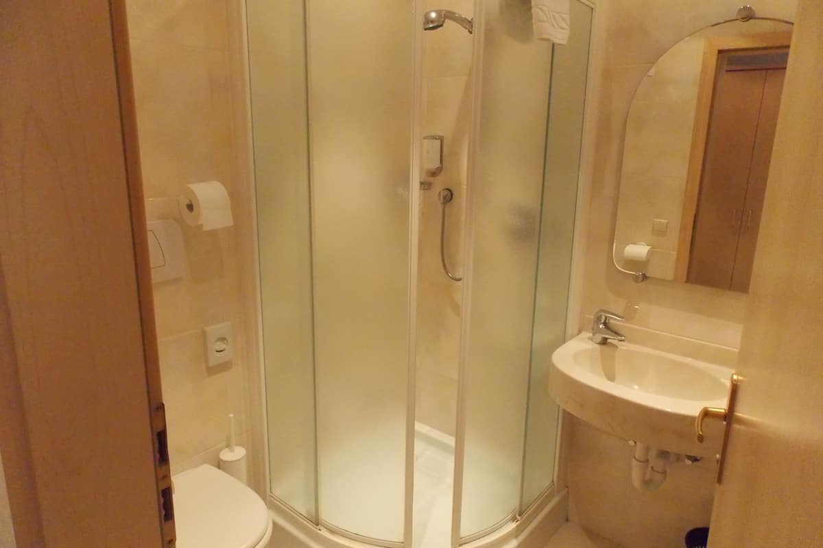 A modern bathroom with a glass-enclosed shower, a toilet, and a sink with a mirror above it.