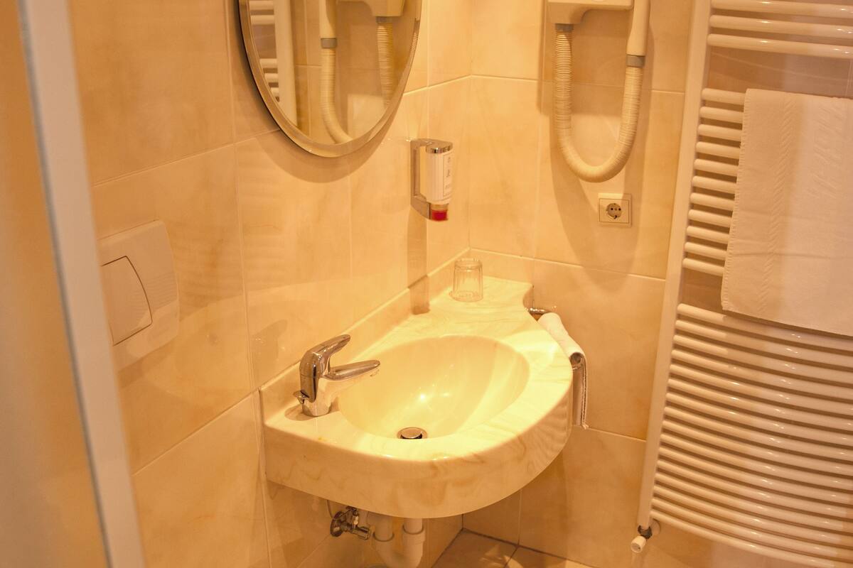 double or twin room | bathroom | shower, free toiletries, hair dryer, towels