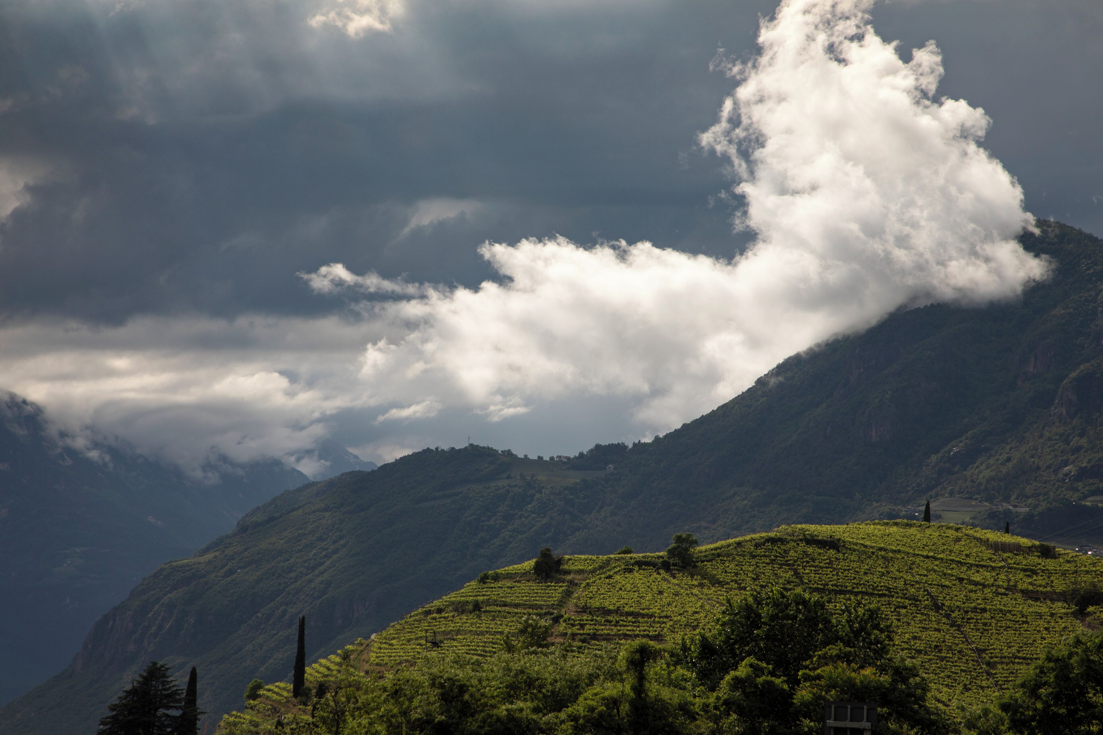 land view from property