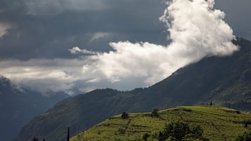 Vue sur la campagne depuis l’hébergement