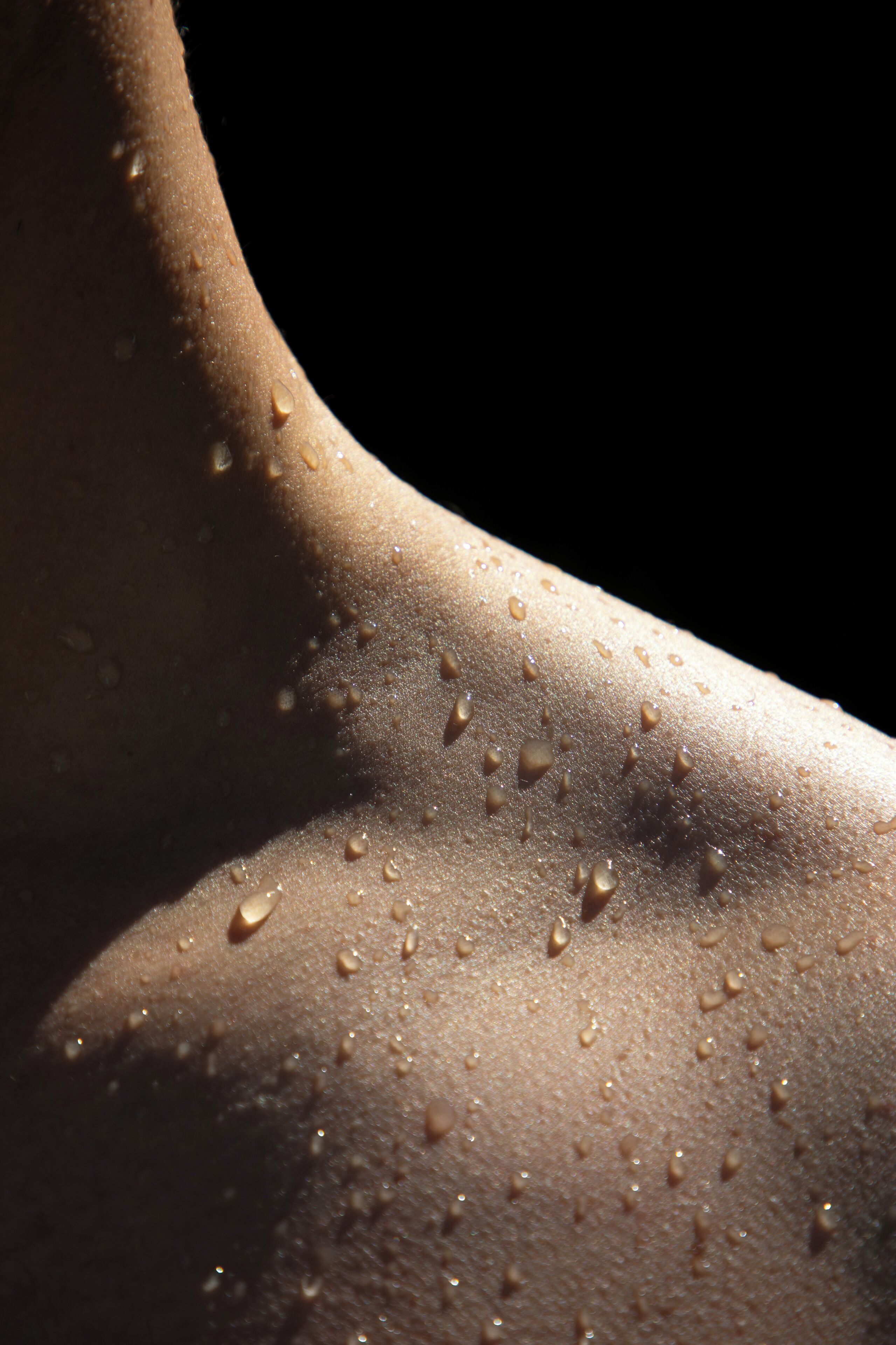 double room (plunge pool) | premium bedding, minibar, in-room safe, desk