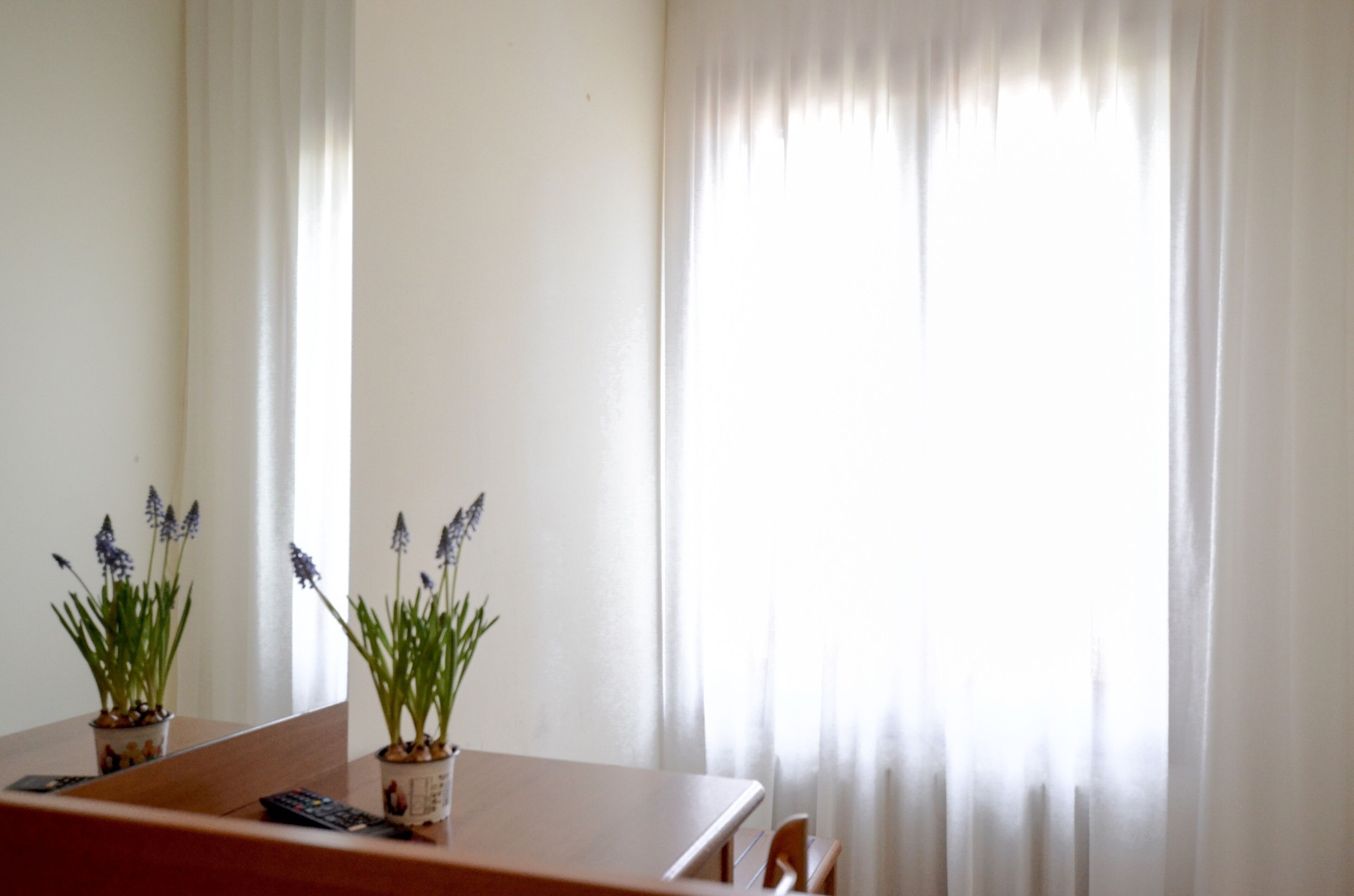 single room | down duvets, pillow-top beds, blackout curtains, iron/ironing board