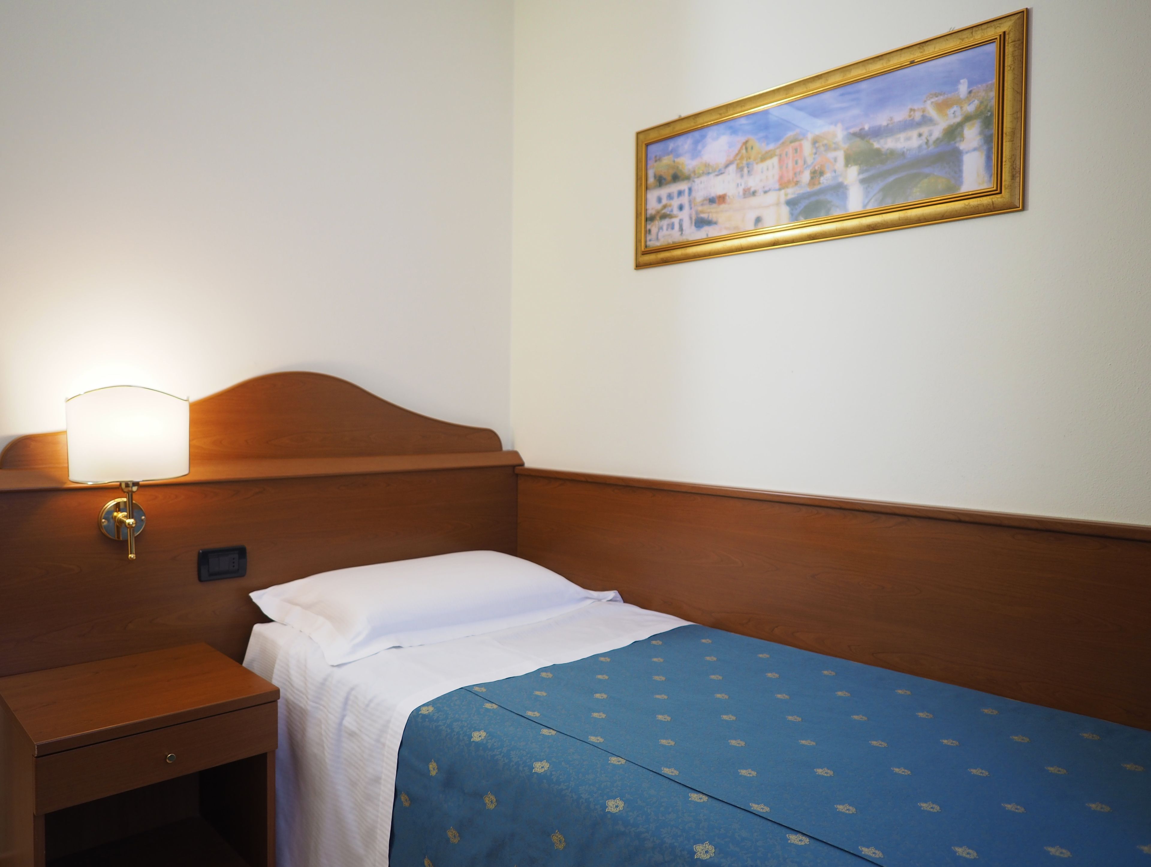 single room | in-room safe, desk, laptop workspace, free wifi