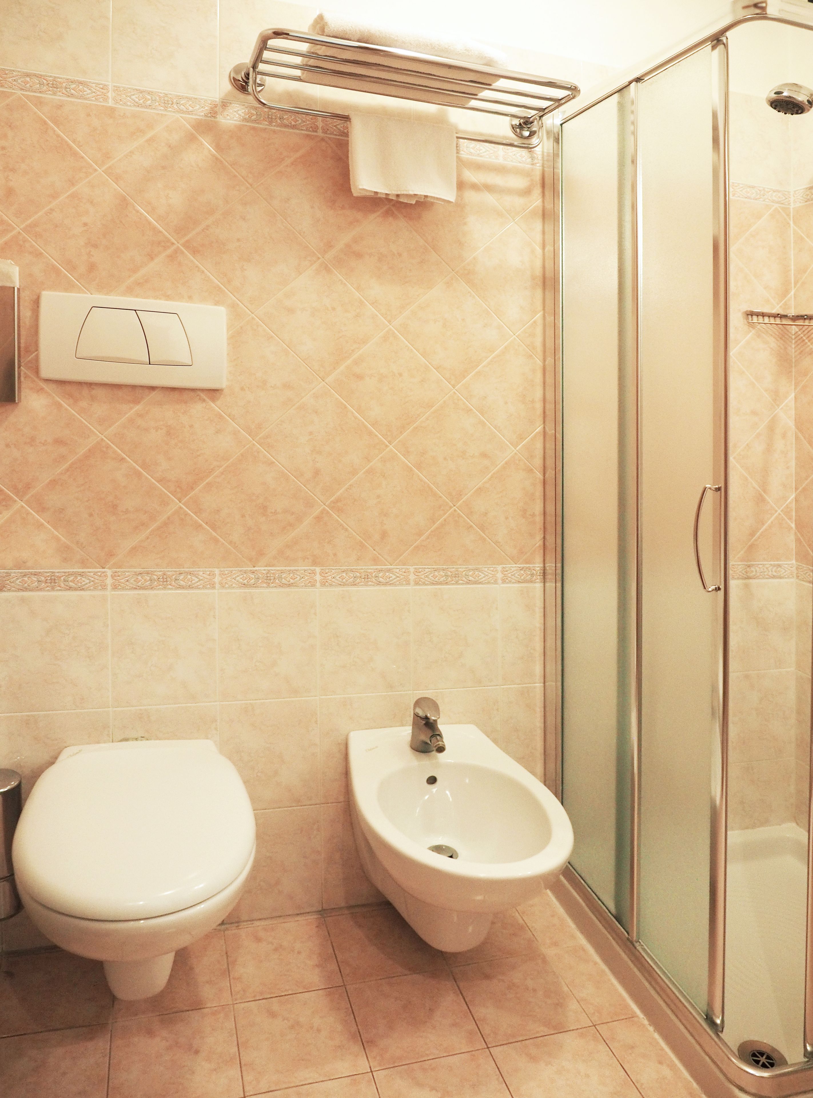 shower, free toiletries, hair dryer, bidet